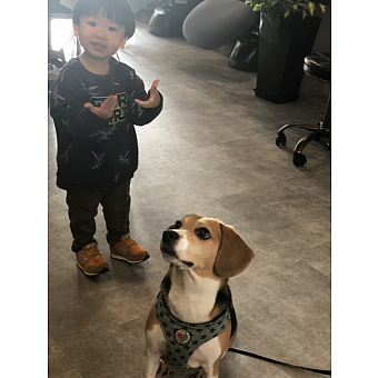 MIYUKI 復帰後の出勤シフトについてのお知らせ